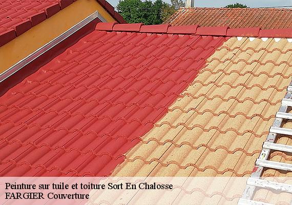 Peinture sur tuile et toiture  sort-en-chalosse-40180 FARGIER Couverture