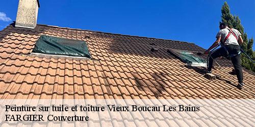 Peinture sur tuile et toiture  vieux-boucau-les-bains-40480 FARGIER Couverture