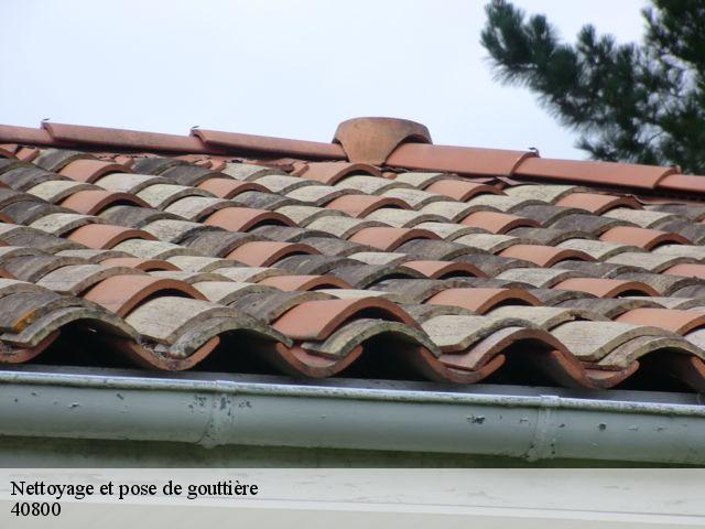 Nettoyage et pose de gouttière  aire-sur-l-adour-40800 FARGIER Couverture