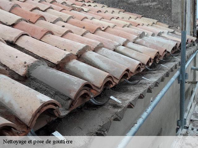 Nettoyage et pose de gouttière  castaignos-souslens-40700 FARGIER Couverture