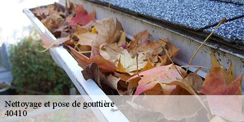 Nettoyage et pose de gouttière  liposthey-40410 FARGIER Couverture