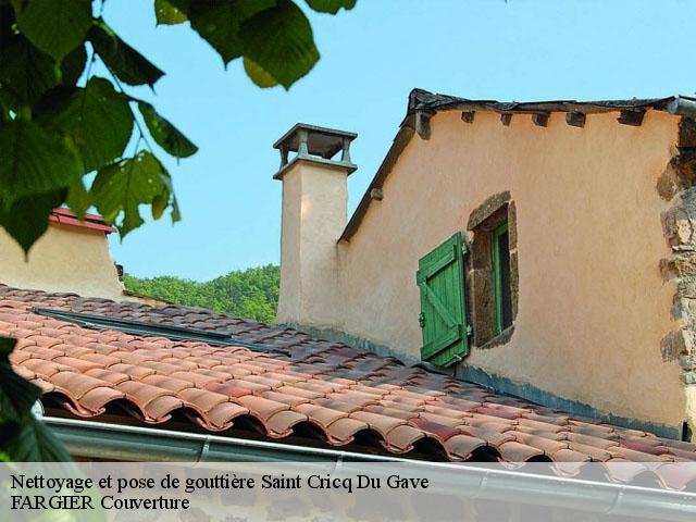 Nettoyage et pose de gouttière  saint-cricq-du-gave-40300 FARGIER Couverture