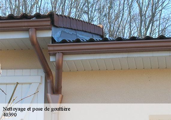 Nettoyage et pose de gouttière  saint-martin-de-hinx-40390 FARGIER Couverture