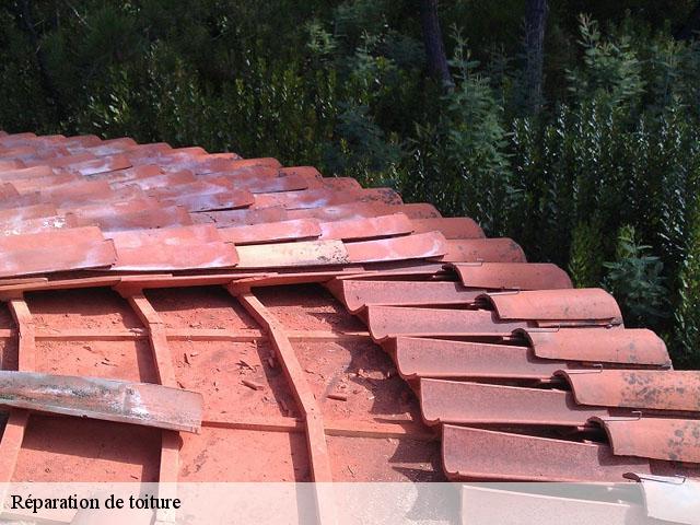 Réparation de toiture  baudignan-40310 FARGIER Couverture