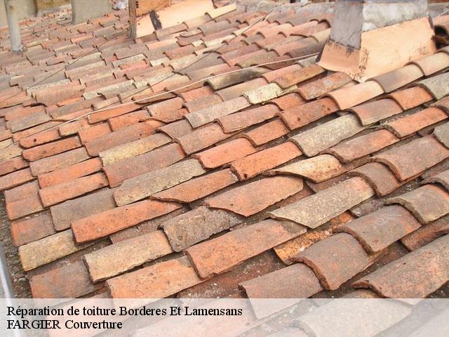 Réparation de toiture  borderes-et-lamensans-40270 FARGIER Couverture
