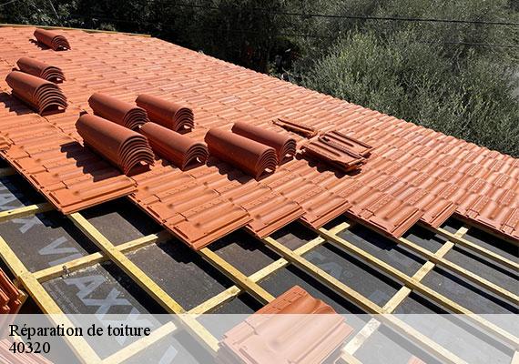 Réparation de toiture  eugenie-les-bains-40320 FARGIER Couverture