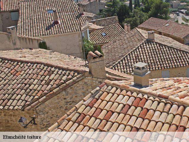Etanchéité toiture  borderes-et-lamensans-40270 FARGIER Couverture