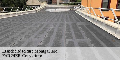 Etanchéité toiture  montgaillard-40500 FARGIER Couverture
