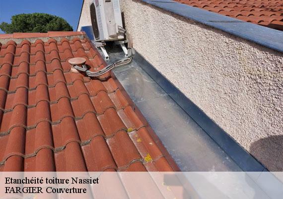 Etanchéité toiture  nassiet-40330 FARGIER Couverture