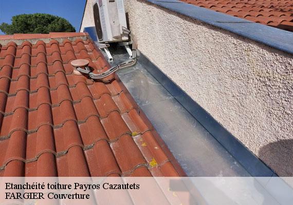 Etanchéité toiture payros-cazautets-40320 FARGIER Couverture