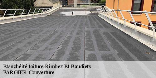 Etanchéité toiture  rimbez-et-baudiets-40310 FARGIER Couverture