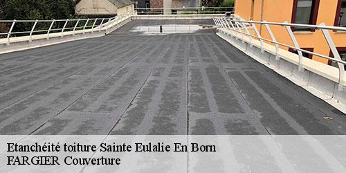 Etanchéité toiture  sainte-eulalie-en-born-40200 FARGIER Couverture