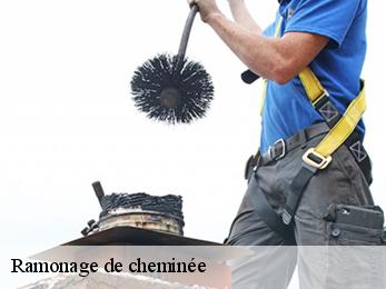 Ramonage de cheminée  angoume-40990 FARGIER Couverture