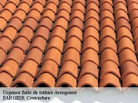 Urgence fuite de toiture  arengosse-40110 FARGIER Couverture