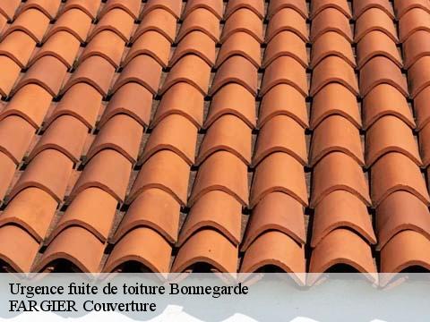 Urgence fuite de toiture  bonnegarde-40330 FARGIER Couverture