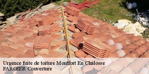 Urgence fuite de toiture  montfort-en-chalosse-40380 FARGIER Couverture