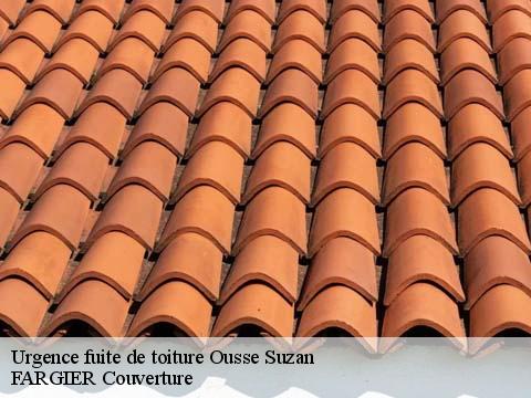 Urgence fuite de toiture  ousse-suzan-40110 FARGIER Couverture